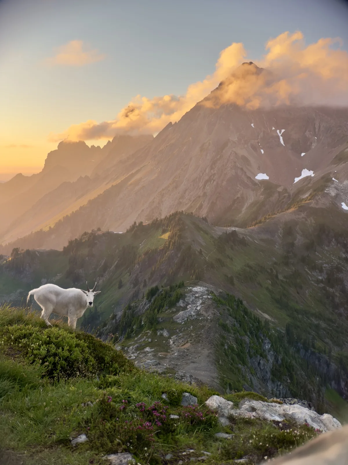 Hiking trail in British Columbia